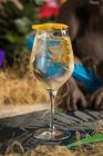 Crystal wineglass with Martini cocktail served with lemon zest and olives edge placed against dry grass — Stock Photo