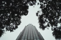 De baixo vista para altas torres de arranha-céus e pequenos edifícios na cidade grande — Fotografia de Stock