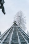 Снизу традиционной саамской палатки, расположенной в зимнем лесу рядом с деревьями, покрытыми инеем и снегом против облачного неба — стоковое фото