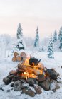 Чайник поклав вогонь на засніжене поле поблизу хвойних дерев проти хмарного заходу сонця взимку — стокове фото