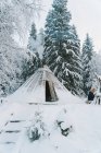 Traditional Sami tent placed in winter forest near trees covered with hoarfrost and snow against cloudy sky — Stock Photo