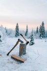 Sharp axes thrust in log placed on snowy ground near fir trees against cloudy sunset sky in winter — Stock Photo