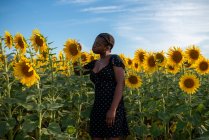 Side view of tranquil African American female delicately touching blooming sunflower while enjoying nature in field in summer — Stock Photo