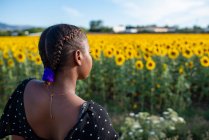 Rückansicht einer nicht wiedererkennbaren Afroamerikanerin im Kleid, die vor dem Hintergrund blühender Sonnenblumen auf dem Feld steht und den Sommer in der Natur genießt — Stockfoto
