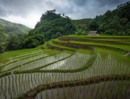 Lunga esposizione vista panoramica di piccolo villaggio con capanne di legno situato vicino a abbondanti campi di riso spaziosi in campagna esotica sotto cielo nuvoloso — Foto stock
