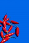 Zusammensetzung von oben mit roten frischen exotischen Paprika, die als Gewürz oder Gewürz zum Würzen von Lebensmitteln auf blauem Hintergrund verwendet werden — Stockfoto