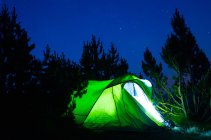 Grünes Zelt mit glänzendem Licht zwischen hohen Baumsilhouetten unter Sternenhimmel in der Abenddämmerung — Stockfoto