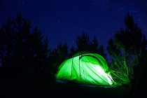 Зеленая палатка с ярким светом среди высоких силуэтов деревьев под звездным небом в сумерках — стоковое фото
