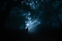 Vista lateral da silhueta trekker masculino anônimo no caminho iluminando madeiras noturnas com lanterna — Fotografia de Stock