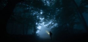 Side view of anonymous male trekker silhouette on pathway illuminating night woods with flashlight — Stock Photo