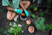 Alto angolo di coltura irriconoscibile giardiniere nero femminile seduto in serra e piantare fiori in vasi di ceramica — Foto stock