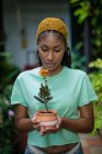 Jardinero femenino negro encantado de pie en invernadero con flor Kalanchoe en maceta de cerámica - foto de stock