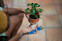 Cropped unrecognizable African American female gardener painting ceramic pot with Kalanchoe flower while working in hothouse — Stock Photo