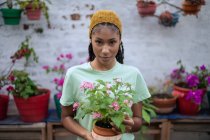 Delighted black female gardener standing in greenhouse with blooming flowers in ceramic pot looking at camera — Stock Photo