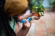 Cropped unrecognizable African American female gardener painting ceramic pot with Kalanchoe flower while working in hothouse — Stock Photo