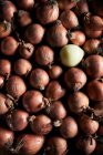 De cima de muitas cebolas inteiras frescas com casca seca disposta em pilha — Fotografia de Stock