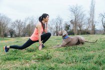 Vue de côté corps complet de jeune femme active en tenue de sport faisant de l'exercice d'étirement devant un fidèle chien de race Weimaraner tout en passant du temps ensemble sur une prairie verte dans le parc — Photo de stock