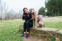 Весела жінка-власник обіймає вірного чистокровного собаку Веймаранерів, сидячи разом на кордоні на трав'янистих лугах в парку — стокове фото