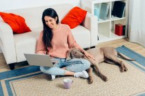 High angle full body of cheerful young female watching movie on laptop and stroking Weimaraner dog while spending free time together in living room — Stock Photo