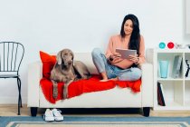Спокійний чистокровний собака Веймаранер дивиться на камеру, відпочиваючи на дивані поруч з власницею жінки, читаючи електронну книгу на планшеті під час вільного часу вдома — стокове фото
