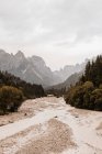 Живописный вид на песчаную дорогу между деревьями и высокими горами под облачным небом в Доломитовых Альпах — стоковое фото