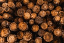 Pila di legna da ardere di varie misure impilata insieme nel cortile di campagna in Italia — Foto stock