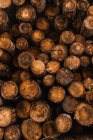 Pila di legna da ardere di varie misure impilata insieme nel cortile di campagna in Italia — Foto stock