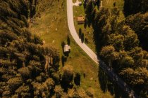 From above drone view of curved asphalt roadway running through green forested slopes of Dolomites mountain range in Italy — Stock Photo