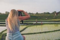 Blonde Frau fotografiert in einem Reisfeld in Kajsa — Stockfoto