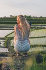 Mulher loira tirando fotos em um campo de arroz em Kajsa — Fotografia de Stock
