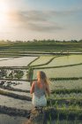 Mulher loira em pé em um campo de arroz em Kajsa — Fotografia de Stock