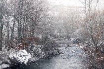 Nieva en el paisaje invernal de un río - foto de stock