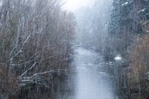 Nieva en el paisaje invernal de un río - foto de stock