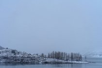 Nevando na paisagem de inverno de um lago com um grupo de árvores em um dia nebuloso — Fotografia de Stock