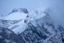 Nieva en el paisaje invernal de las montañas del Parque Natural - foto de stock