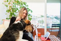 Femme amicale interagissant avec chien de race attentif contre tablette avec écran noir sur la table à la maison — Photo de stock