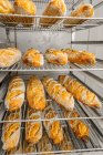 Rows of tasty oval shaped bread with golden surface and crunchy crust on metal rack shelves — Stock Photo