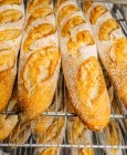 Lignes de pain savoureux de forme ovale avec surface dorée et croûte croquante sur des étagères en métal — Photo de stock