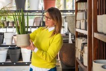 Femme client debout avec Sansevieria cylindrica en pot pendant les achats dans le centre de jardin — Photo de stock