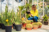 Giardiniere femminile utilizzando tablet moderno, mentre il conteggio delle piante e lavorare nel centro del giardino — Foto stock