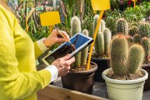 Обрізати жіночого садівника, використовуючи сучасну таблетку, підраховуючи рослини і працюючи в садовому центрі — стокове фото