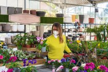 Жіночий клієнт в захисній масці стоїть з кошиком в садовому центрі і збирає квітучі горщики рослин — стокове фото
