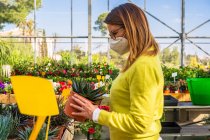 Вид сбоку покупательницы в маске, собирающей сочные растения, стоя возле стойла в центре сада — стоковое фото