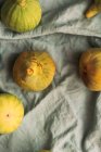 Figos verdes doces maduros, recém colhidos de uma árvore doméstica, na toalha de mesa azul pastel. Fruta saudável e orgânica. Também conhecido como figos brancos maduros — Fotografia de Stock
