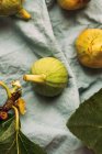 Ripe sweet green figs, freshly harvested from a domestic tree, on the pastel blue tablecloth. Healthy and organic fruit. Also known as ripe white figs — Stock Photo