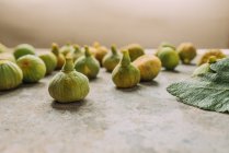 Стерти солодкі зелені інжир, свіжозібрані з домашнього дерева, на столі з гранжевою текстурою. Також відомі як стиглі білі інжир — стокове фото