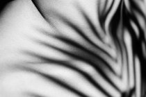Черно-белый урожай анонимной нежной женщины с цветочным оттенком на груди в солнечном свете — стоковое фото