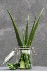 Grüne Aloe Vera Blätter in Glasgefäß auf Tisch auf grauem Hintergrund platziert — Stockfoto