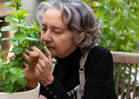 Heitere Gärtnerin genießt erfrischenden Duft von Minzblättern im Garten — Stockfoto