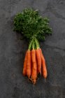 D'en haut de bouquet de carottes mûres placées sur fond noir minable en studio — Photo de stock